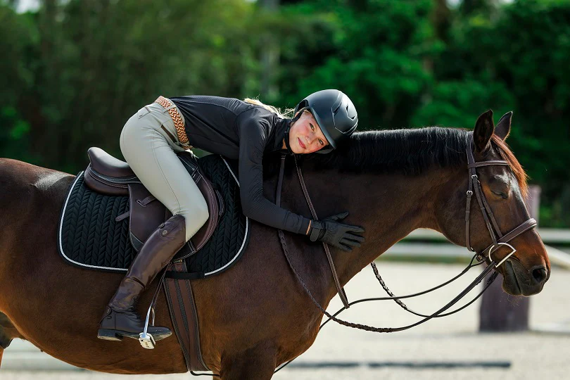 Elevate Your Equestrian Journey